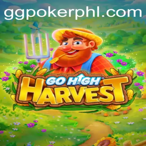 Exploring GoHighHarvest: The Latest Gaming Phenomenon with Strong Links to Poker Culture
